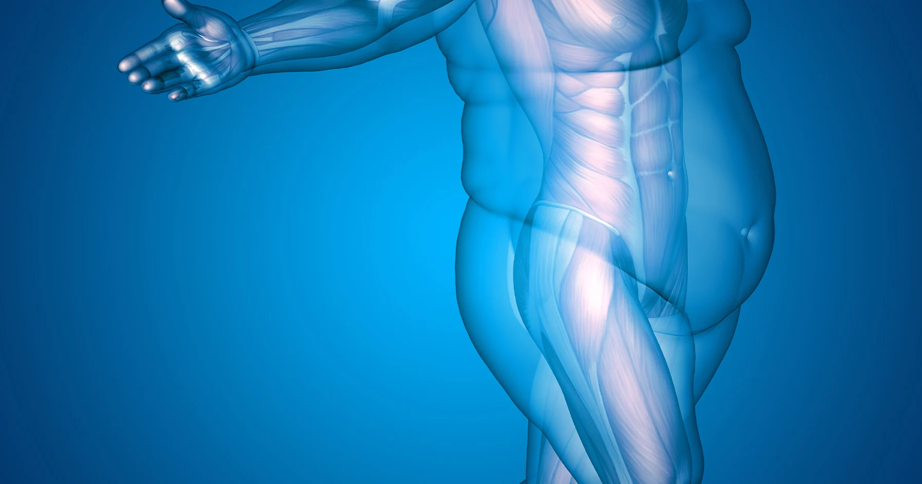 Obezite Cerrahisi (Bariatrik Cerrahi) Nedir?